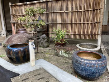 �����񍐎ʐ^